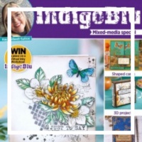 IndigoBlu Magazine Box Kits